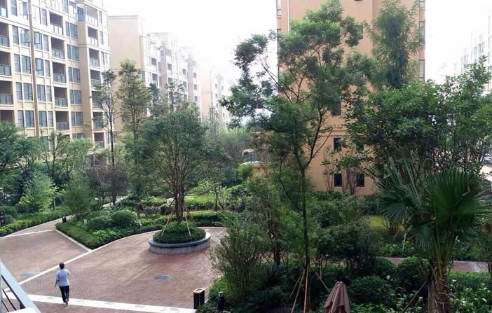 至尊国际 – 至尊服务,至尊享受