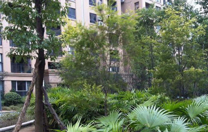 至尊国际 – 至尊服务,至尊享受